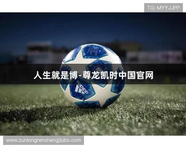 尊龙z6人生就是博：在不断探索中找到属于自己的精彩人生轨迹