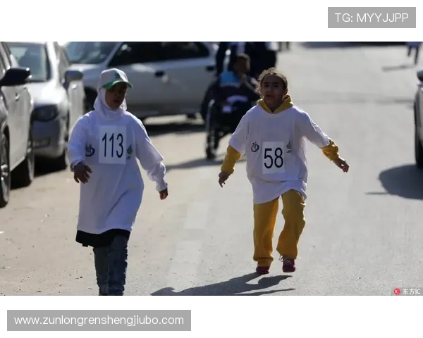 尊龙网址集团官网查询入口官方入口网址及账号登录流程详解