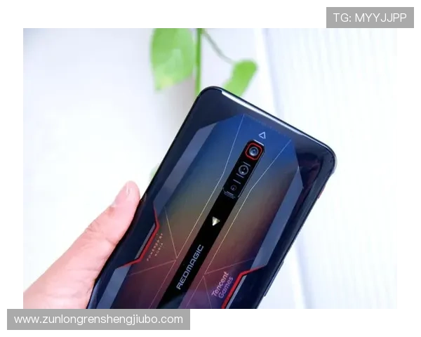 尊龙app手机版下载官方渠道，确保安全稳定的游戏下载与使用体验