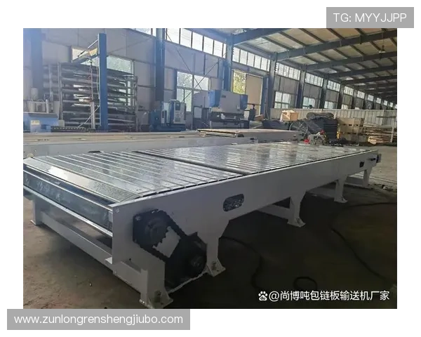 尊龙绝对是混血的传闻是否有依据，详解其血统多元化的具体情况